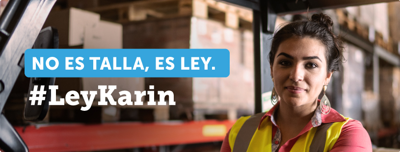 Especial Ley Karin Especial Ley Karin