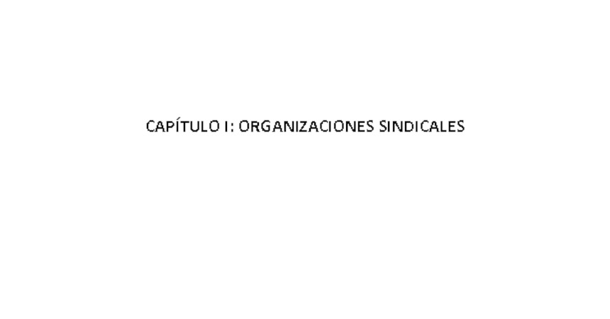 Capítulo I Organizaciones Sindicales 2010