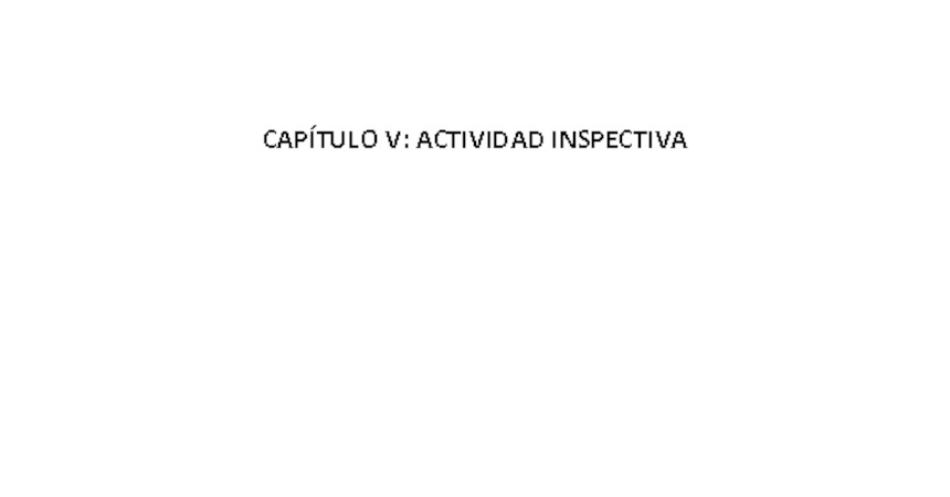 Capítulo V Actividad Inspectiva-Anuario 2010