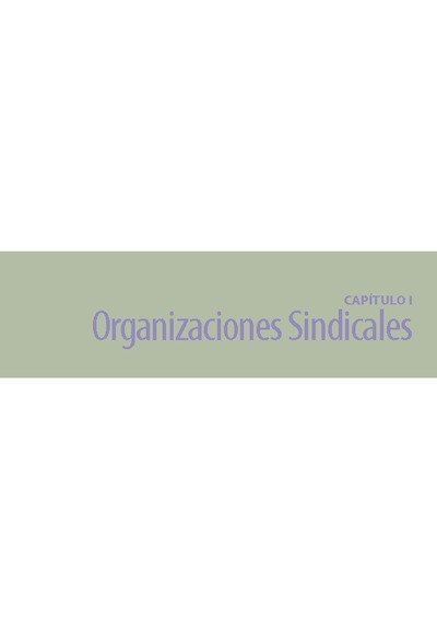 Capítulo I Organizaciones Sindicales 2012