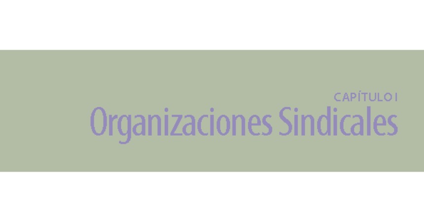Capítulo I Organizaciones Sindicales 2013