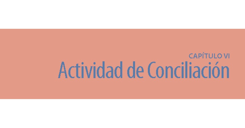 Capítulo VI Conciliación 2013