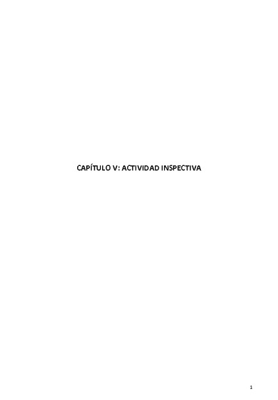 Capítulo V Actividad Inspectiva-Anuario