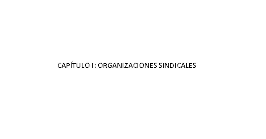 Capítulo I Organizaciones Sindicales 2011