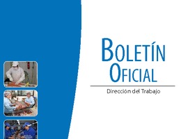 Boletín oficial: Enero 2012