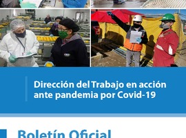 Boletín oficial: junio 2020