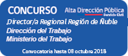 Director/a Regional Región de Ñuble