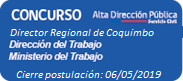 Director/a Regional Región de Coquimbo