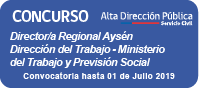 Director/a Regional Región de Aysén