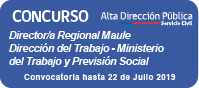 Director/a Regional Región de Maule