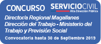 Director/a Regional Región de Magallanes
