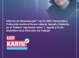 Informe de denuncias por Ley 21.643 (01/08/24 - 31/12/24)