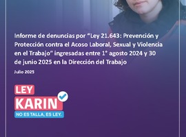 Informe de denuncias por Ley 21.643 (01/08/24 - 30/06/25)