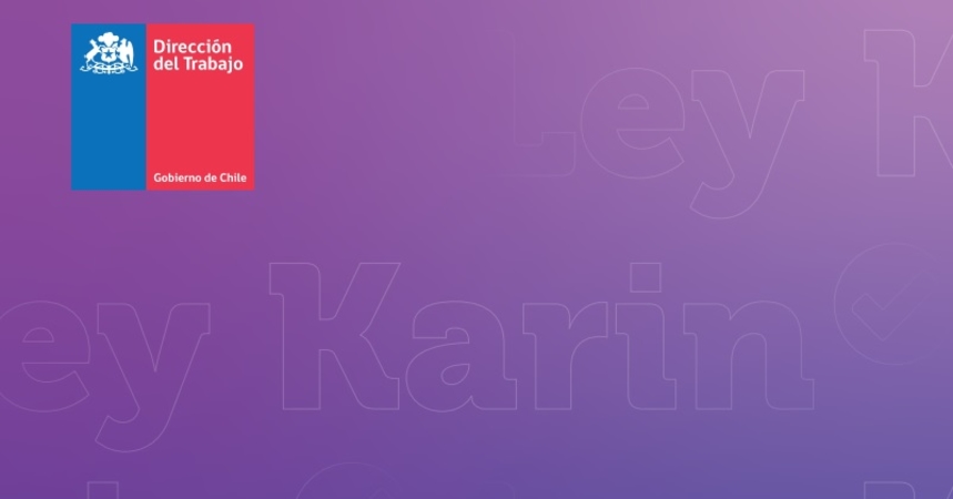 Portada informe Ley Karin