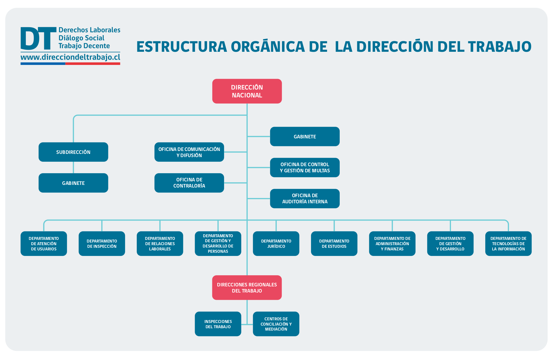 imagen organigrama DT