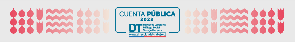 Cuenta pública 2022