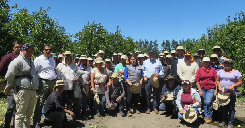 En Angol trabajadores agrícolas se protegen de la radiación solar