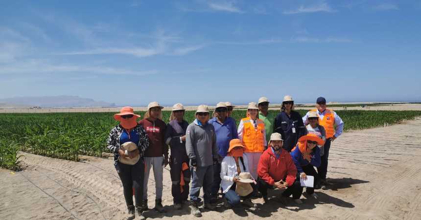 DRT de Arica y Parinacota difunde normativa sobre protección de rayos UV