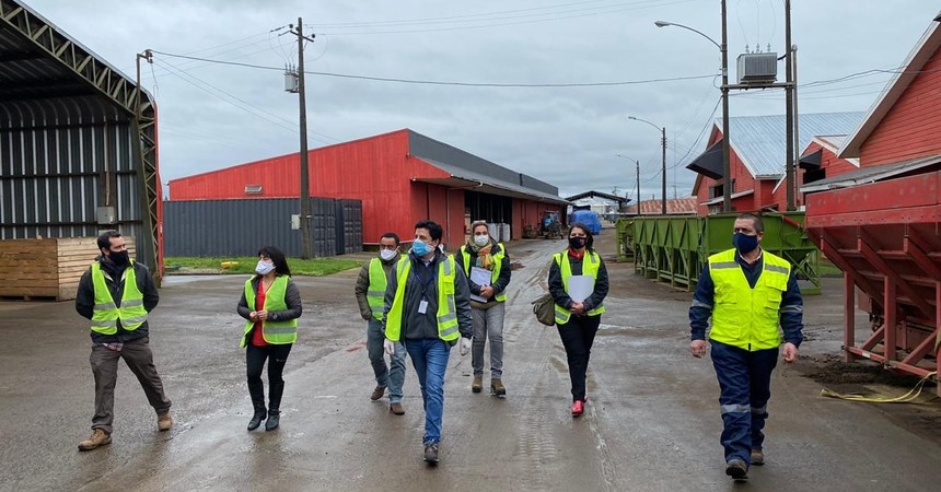 Los Lagos: DT fiscalizó a empresa de semillas en Frutillar para verificar medidas contra el coronavirus