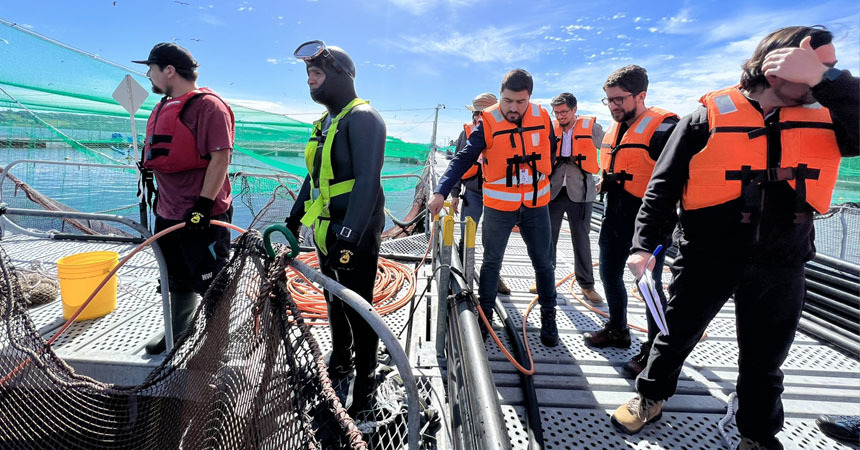 DT fiscalizó 24 centros de cultivo de salmones entre Los Lagos y Magallanes para mejorar la seguridad de buzos/as y evitar accidentes