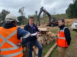 Dirección del Trabajo fiscaliza a 10 empresas forestales de la provincia de Osorno