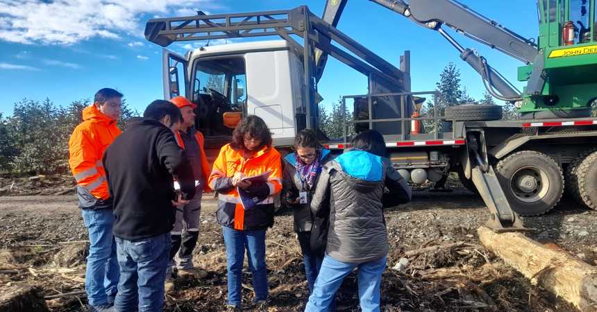 Dirección Regional del Trabajo fiscaliza a 15 faenas forestales en las provincias de Osorno y Llanquihue