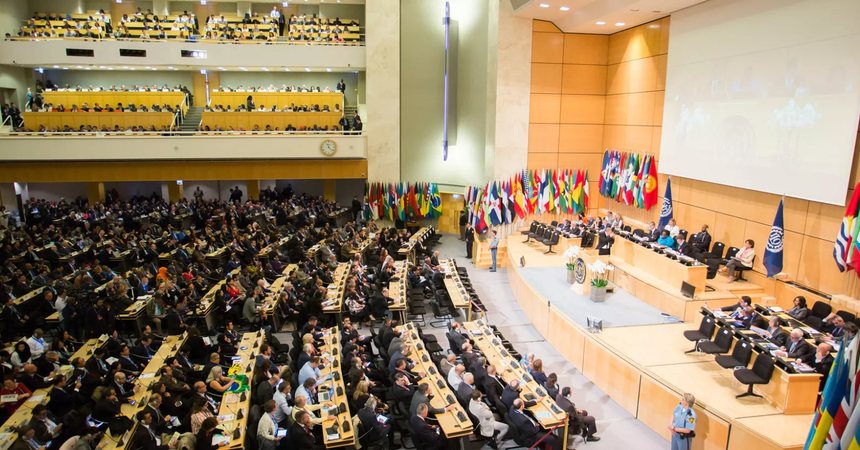 Foro de la OIT: Director del Trabajo destacó rol del tripartismo para una mayor justicia social