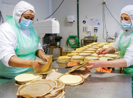 Ni federaciones, ni confederaciones, ni centrales: caracterizando a los “Sindicatos Isla” en el modelo chileno de relaciones laborales