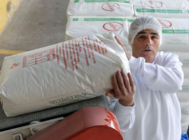 Mil sentencias condenatorias en 20 años. Análisis de las publicaciones semestrales de la Dirección del Trabajo sobre prácticas antisindicales y desleales