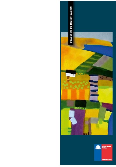 Cuaderno de Investigación Nº 45