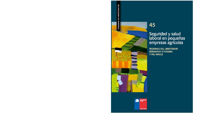 Cuaderno de Investigación Nº 45