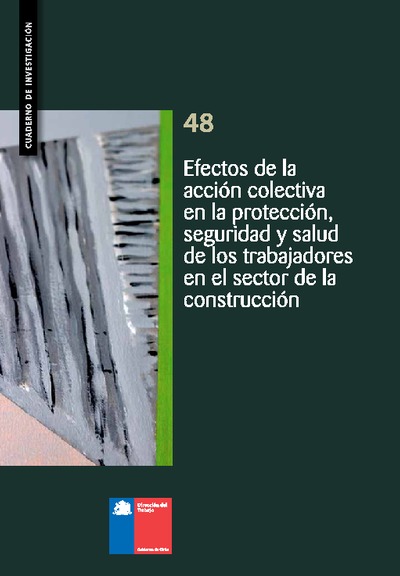 Cuaderno de Investigación Nº 48