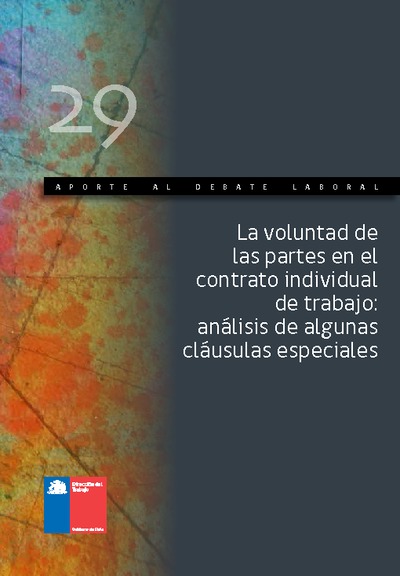 Aporte al Debate Nº 29