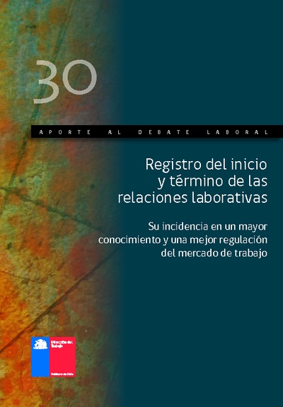 Aporte al Debate Nº 30