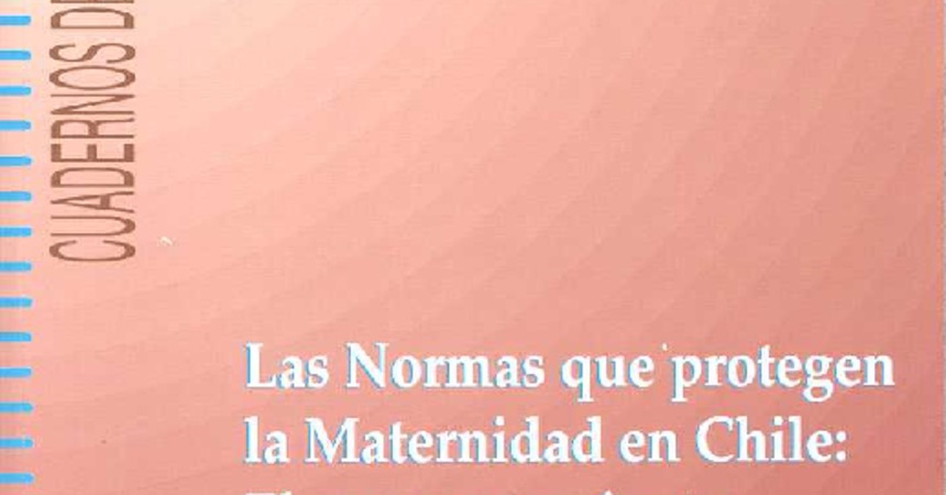 Nº3 Las Normas que protegen la Maternidad en Chile: El comportamiento de las empresas