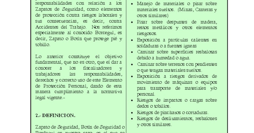 Zapatos de Seguridad