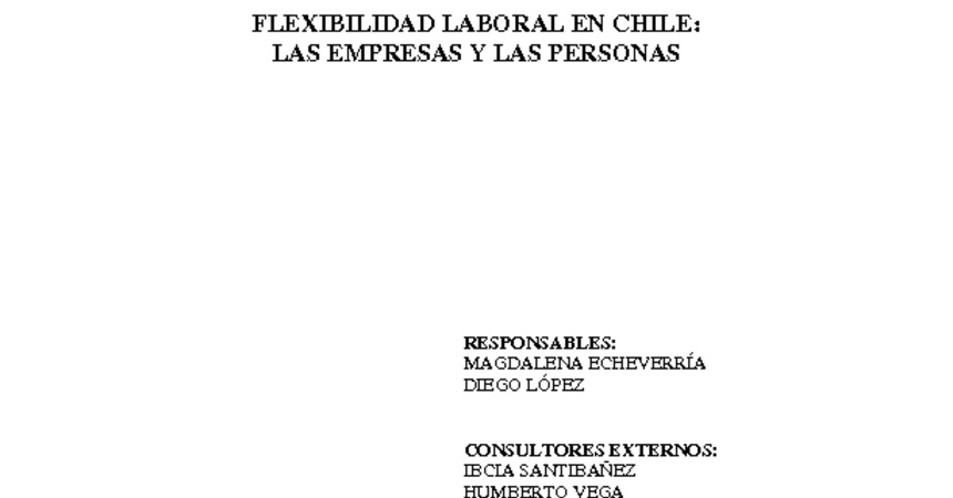 Nº 22 Flexibilidad laboral en Chile: Las empresas y las personas